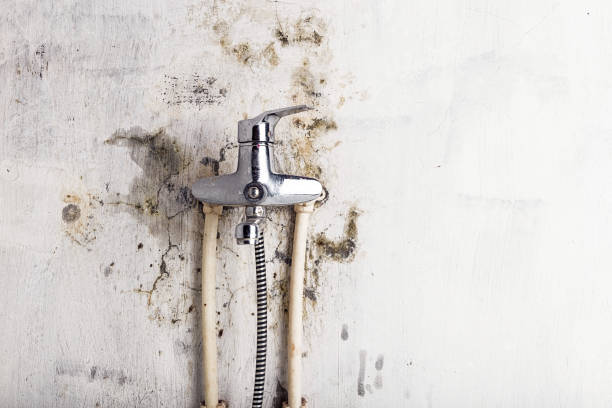 Best Mold Testing  in Oglethorpe, GA