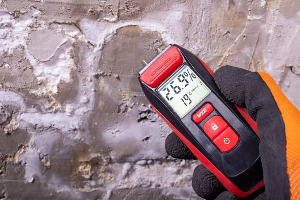 Best Attic Mold Removal  in Oglethorpe, GA