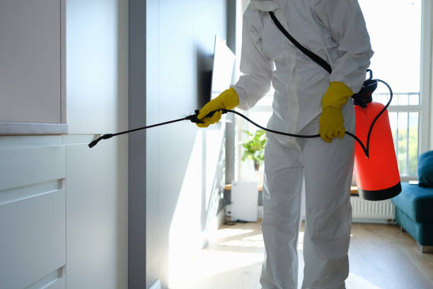 Best Same-Day Mold Removal  in Oglethorpe, GA