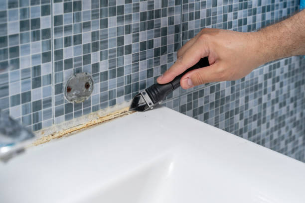 Best Mold Removal Near Me  in Oglethorpe, GA