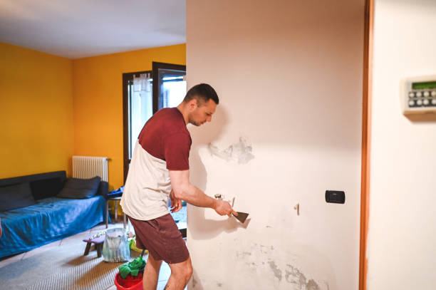 Best Mold Cleaning Services  in Oglethorpe, GA