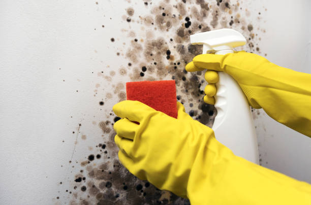 Water Damage Restoration in Oglethorpe, GA