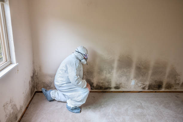 Best Mold Testing  in Oglethorpe, GA